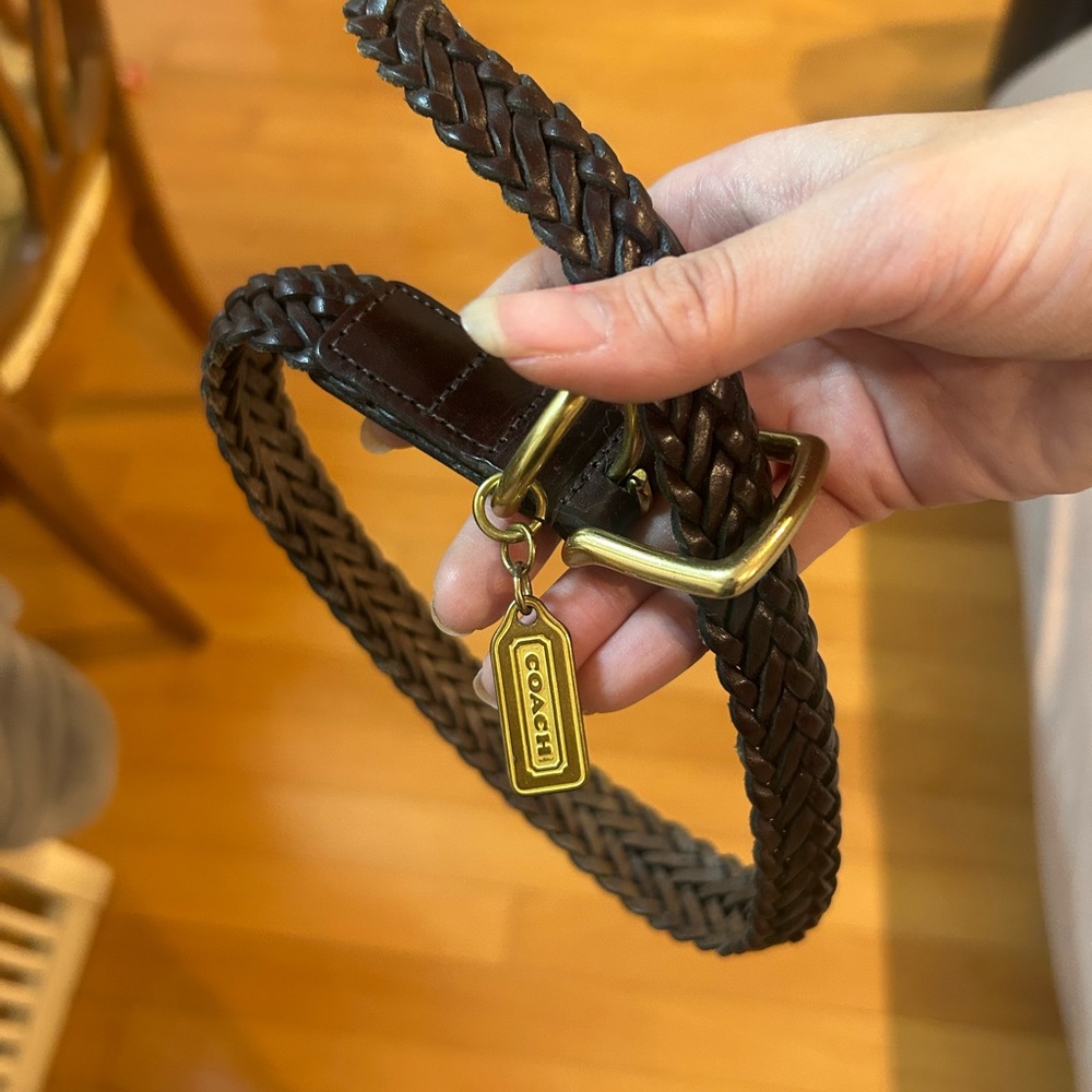 Coach Dark Brown Braided Leather Dog Collar